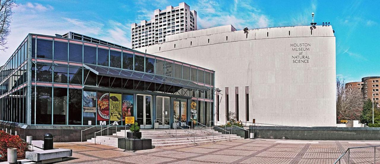 *Hidden Gem* Cozy 1 Bd Nrg/Tmc/Dt/Zoo/Museums Apartamento Houston Exterior foto
